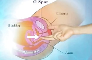 XXX Thủ phục trang phục
