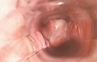 XXX Tình chủ và nhồi chúng ở các công ty